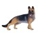 Figure "German Shepherd"