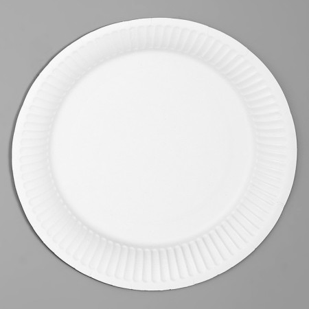 Disposable paper plate "jungle", 18 cm-3