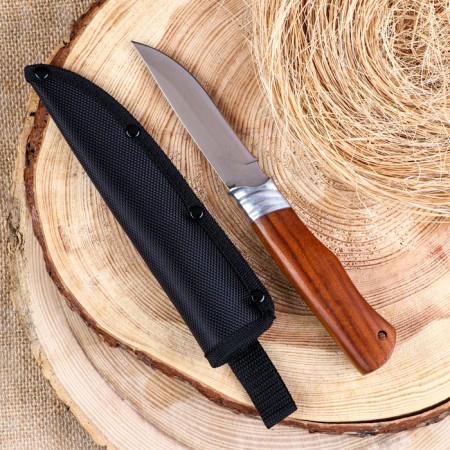 Hunting knife "Burgut" 21.5cm, blade 98mm/2.5mm, wooden hilt-2