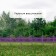 Decorative fence, 30 × 300 cm, 5 sections, plastic, white, Greengo