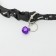 Collar of "paws-capacity" with a bell, kapron, 30 x 1 cm, black