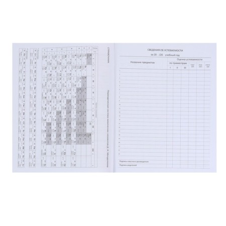 Universal diary for grade 1-11 Favorite, soft cover, button, artificial leather, foil embossing, refrain, lies, 48 ​​sheets-10