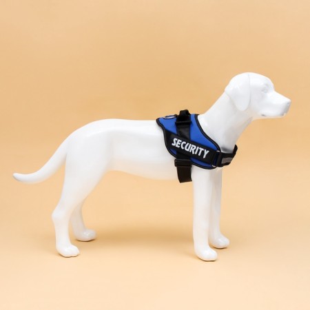 C9 sloping is soft reflective, size xl, og 80-95 cm, weight 30-45 kg, blue-3