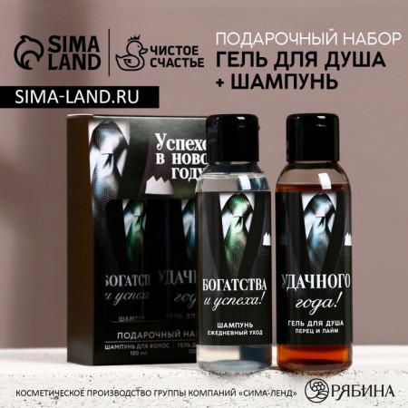Gift set "Success in the New Year", shower gel and hair shampoo, 2x100