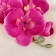 Artificial flowers "Moldiy orchid" 9x66 cm, lilac