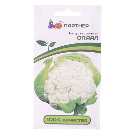 Seeds Cabbage Color "Opaal", 10 pcs.