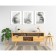 A set of interior posters (posters) 30x40 cm, 3 pcs, 250 g/m2, 6-009,