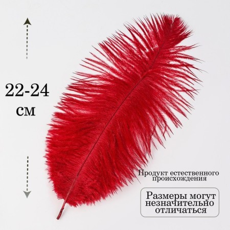 Feather for decor, size: 24 cm, burgundy color-1