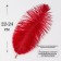 Feather for decor, size: 24 cm, burgundy color
