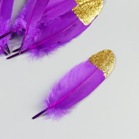 A set of goose feathers 15-20 cm, 10 pcs, purple with golden crumb-2