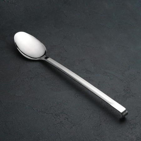 A garnet spoon of stainless steel is all -metal, 35 ml, h = 39 cm, thickness 3 mm