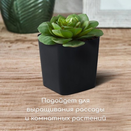Pot for seedlings, 300 ml, d = 7 cm, h = 7 cm, black, Greengo-6