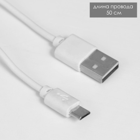 Lamp from the solar battery "Almanter" LED USB AKB 9x6x41 cm Risalux-15