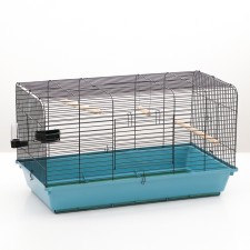 Birds cell, 