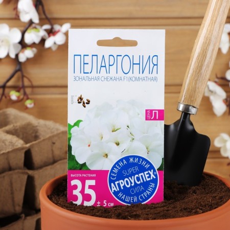 Seeds of flowers Pelargonium "Snezhana", F1, 4 pcs.-2