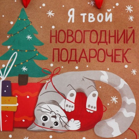 Craft square “Gift”, 22 x 22 x 11 cm, New Year-5