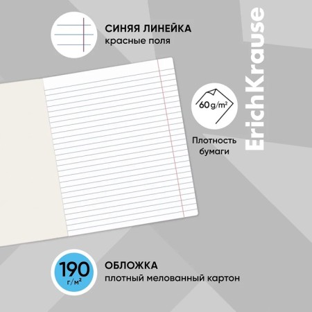Notebook of 48 sheets in the Erichkrause MC-7 line, cover coated cardboard, offset block, mix-2