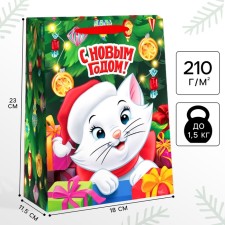 New Year. Gift package, 18x23x11.5 cm, packaging, cats aristocrats