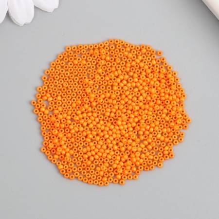 Glass 12/0 "Orange" smooth No. 666 450 gr-2