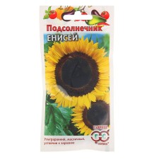 Sunflower seeds 