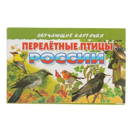 Training cards "Migratory birds of Russia", 16 cards