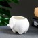 Pot "Elephant White" 10x7x6.5cm