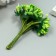 Flowers for decorating "inflorescence" green 1 bouquet = 12 colors 8.5 cm