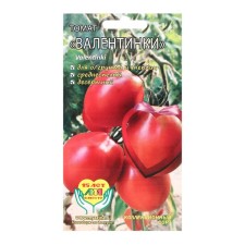 Seeds Tomat 