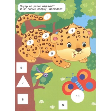 Panda. Application by numbers-4