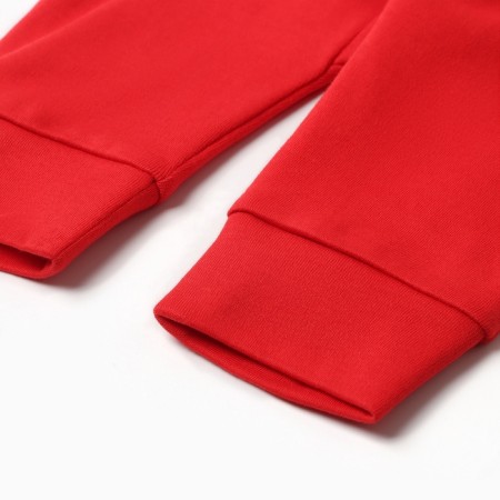 New Year. Suit (blouse and pants) I am "winter friends", height 62-68 cm-2