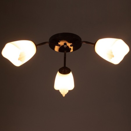 Six 3x15W E27 Brown 50x50x15cm Bayerlux-2