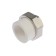 Combined clutch "STM", detachable (American), 32 mm × ¾ ", internal thread