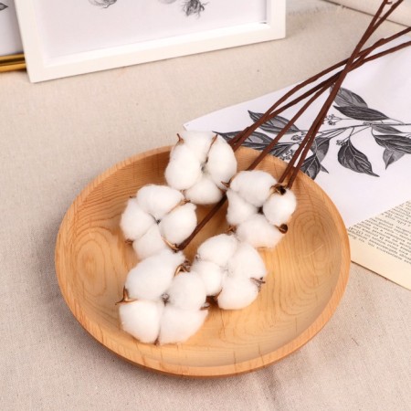 Sukhotzet "Cotton" D-5 cm, 30 cm, white