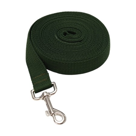 Leash 5 m x 2.5 cm, green
