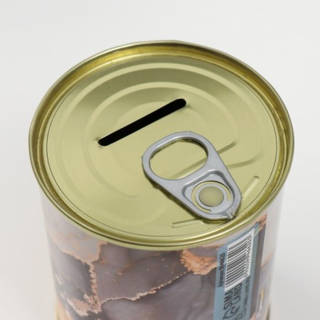 Pigging bank Metal "Throw, don't count"-4