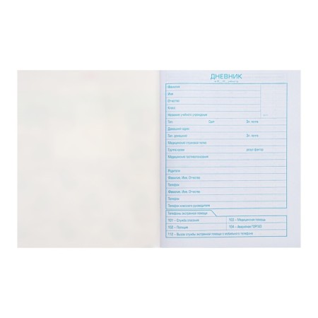 School diary for grades 1-11 Militari, cover of coated cardboard, 40 sheets-3