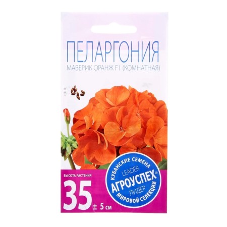 Seeds of indoor flowers Pelargonium "Orange", 4 pcs.-2