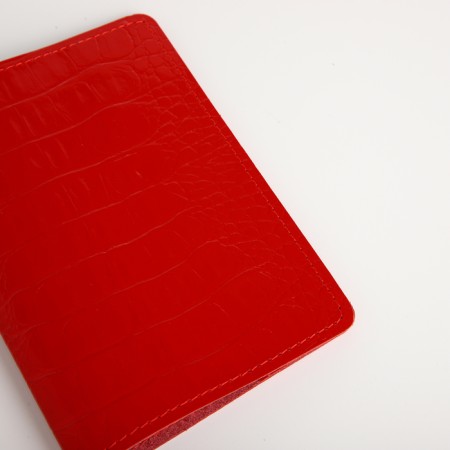 Cover for passport, Textura, red color-3