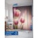 Photosttor for the bathroom "Tenderness at dawn", Saten, size 180x200 cm