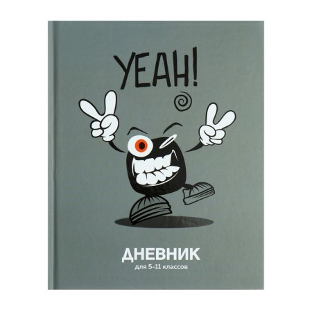Universal Diary 5-11 classes, 48 ​​sheets "there is", matte lamination, a solid cover, a UV-lace, block 65 g/m2