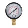 Manometer TIM Y-50-6, radial, DC 50 mm, 0.6 MPa, external thread 1/4 "