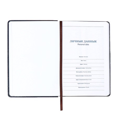 The diary is low, the PVC cover, A5 format, 140 l, cell, with a strap, black-6