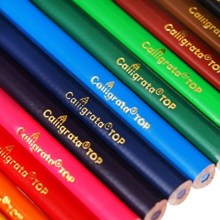 Pencils 12 colors TOP Calligrata, in a cardboard box, neck diameter - 3mm, 5b-5