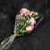 Package for flowers, a cone for gladiolus, 14+52*80cm, transparent