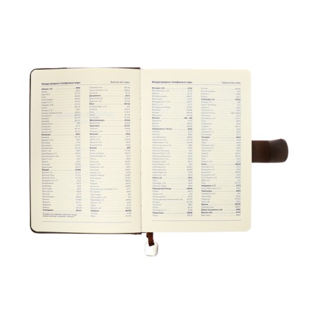The diary of a non -section A5, 140l, cage, K/deputy, with a pen, in gift. box., brown-9
