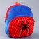 Baby backpack for the boy "Spider", 25x21 cm