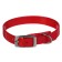 Biotan collar, 20-24 x 1.2 cm, red
