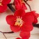 Artificial flowers "Sakura branch" 3x60 cm, red