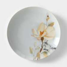 Porcelain plate 