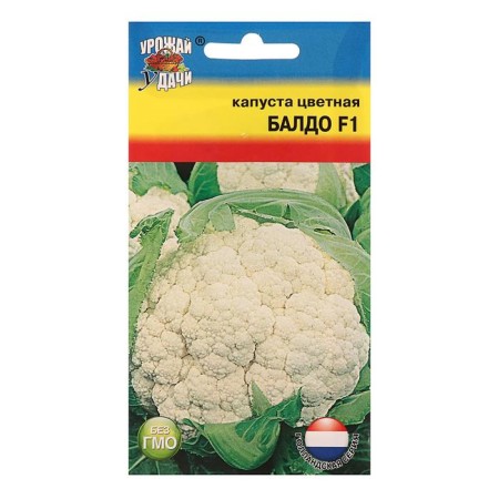 Seeds Cabbage Color "Baldo", F1, 10-11 pcs.